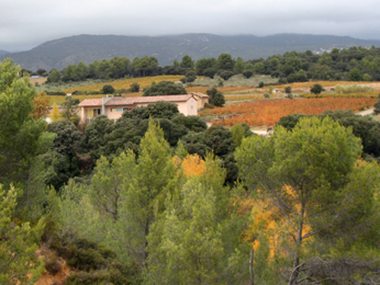 Domaine Font Caude, Lagamas