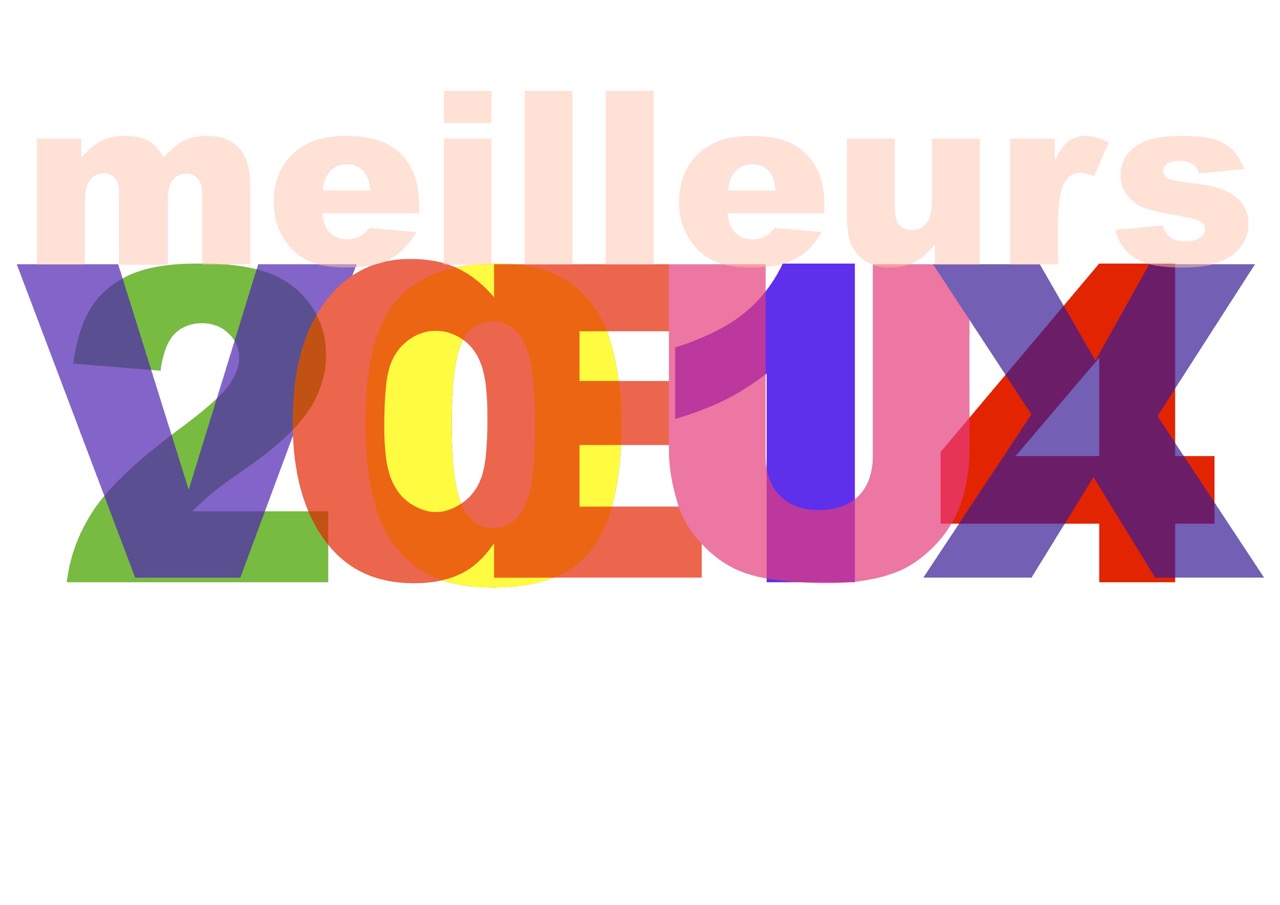 Vœux 2014