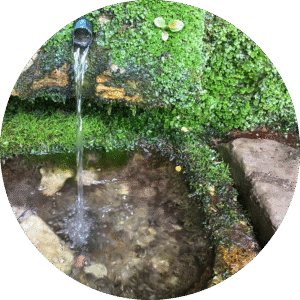 Sortie-découverte la fontaine des yeux